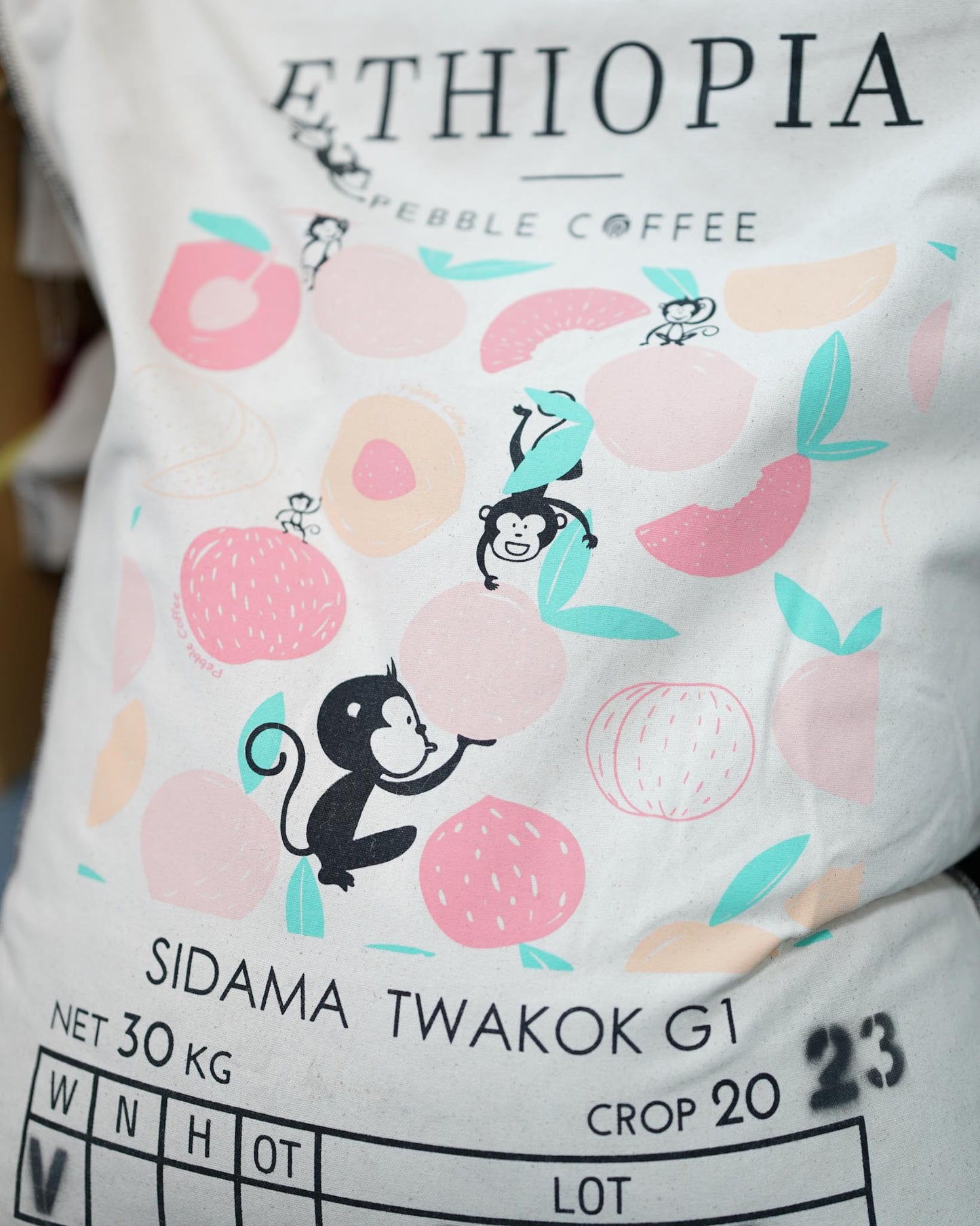 Monthly SOE - Ethiopia Sidama Twakok G1 Washed